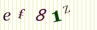 CAPTCHA code