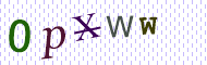 CAPTCHA code